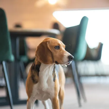 Hob Du Pre 3* サン・ボネ・ル・フロワ